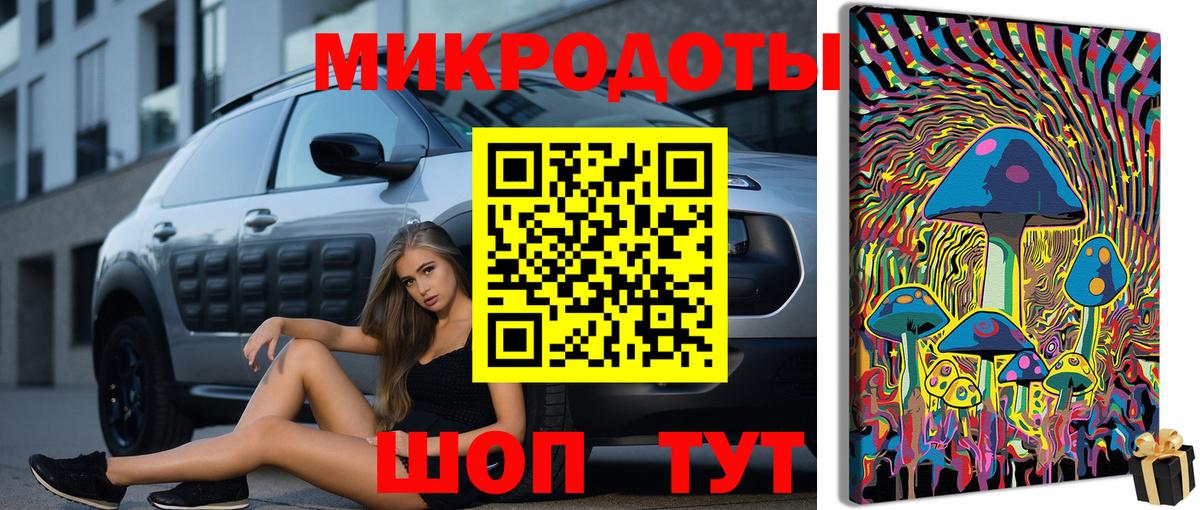 Вязники  Псилоцибиновые грибы прущие грибы  Галлюциногенные грибы Psilocybine cubensis  Вход с VPN 